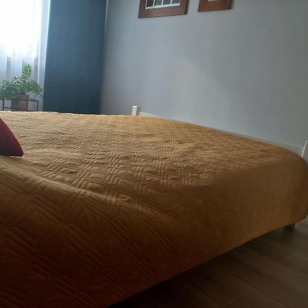 Mieszkanie Na Staszica W Gizycku Giżycko Buitenkant foto